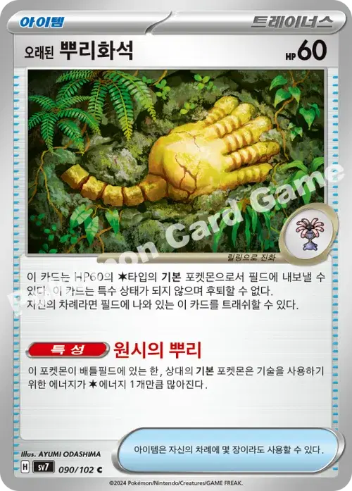 오래된 뿌리화석