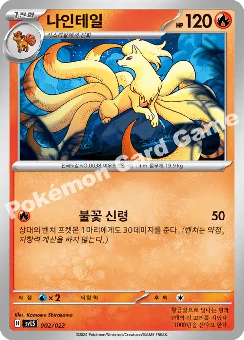 나인테일