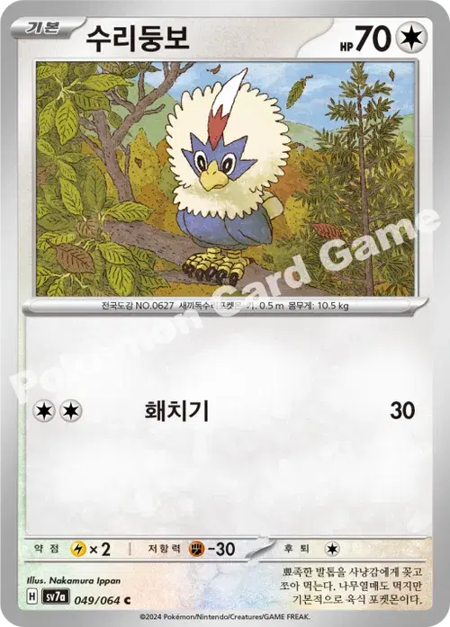 수리둥보