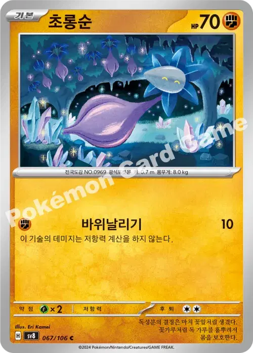 초롱순