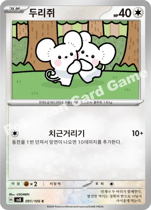 두리쥐