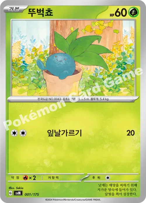 뚜벅쵸