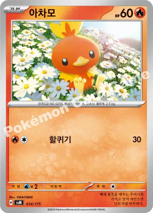 아차모