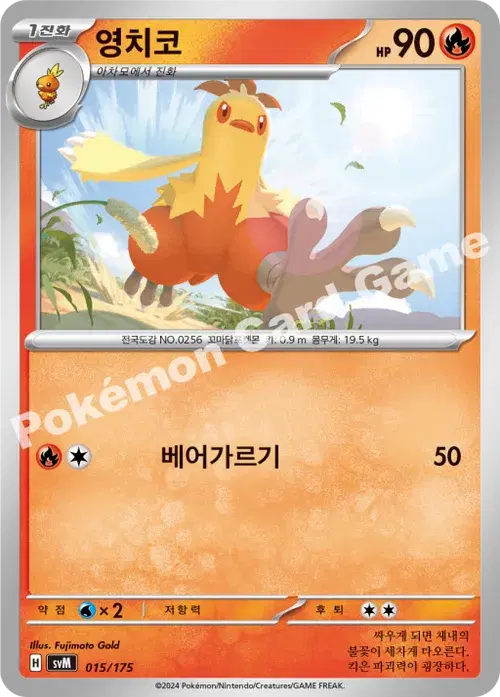 영치코