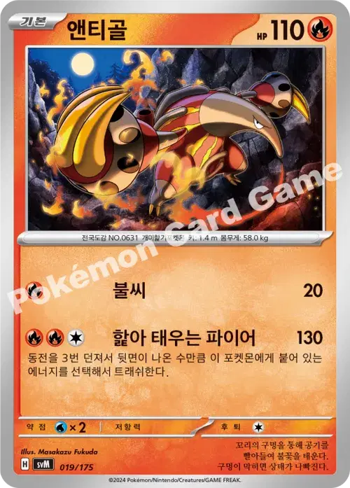 앤티골