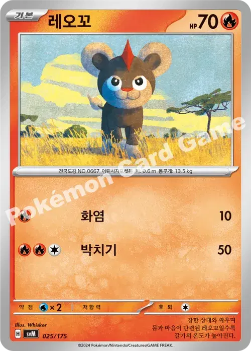 레오꼬