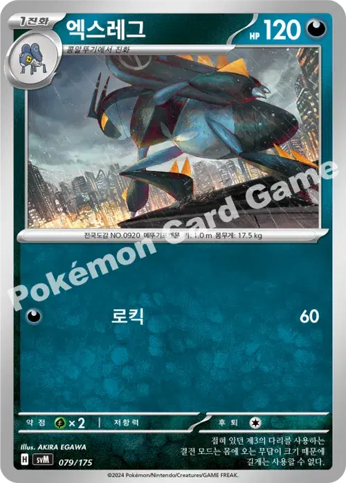 엑스레그