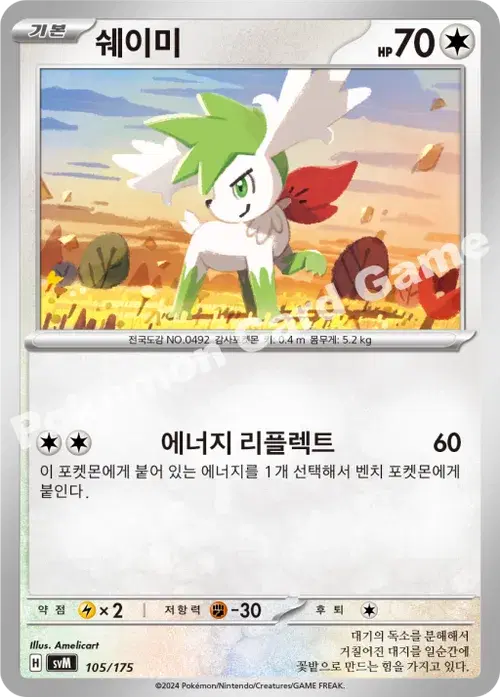 쉐이미