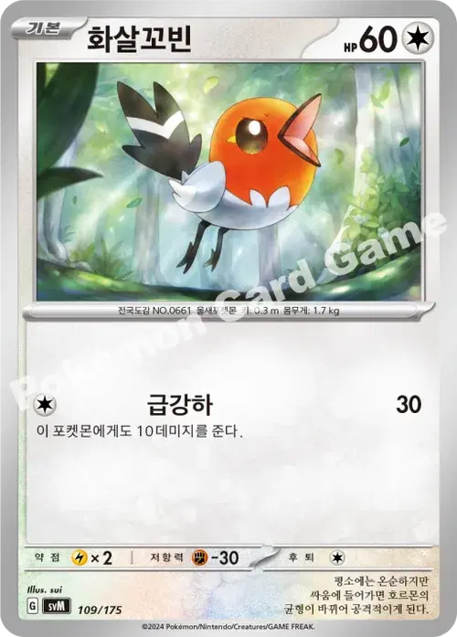 화살꼬빈