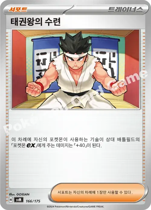 태권왕의 수련