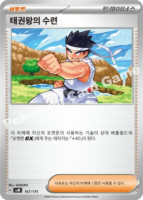 태권왕의 수련