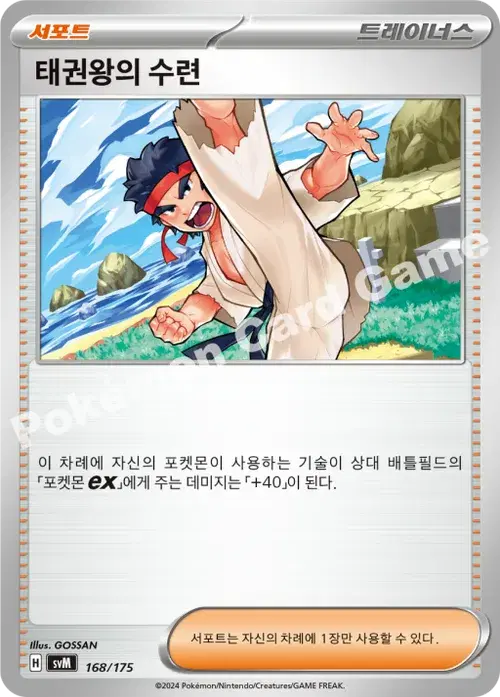 태권왕의 수련