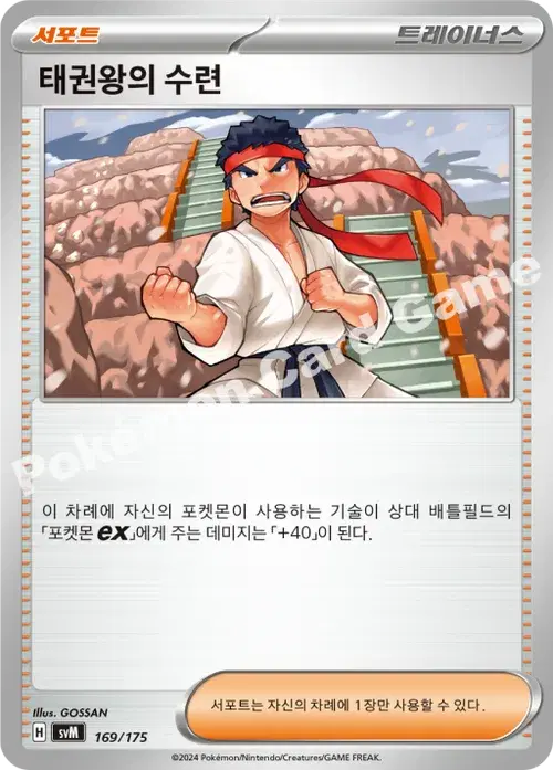 태권왕의 수련