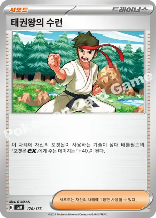 태권왕의 수련