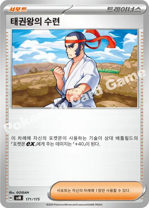 태권왕의 수련