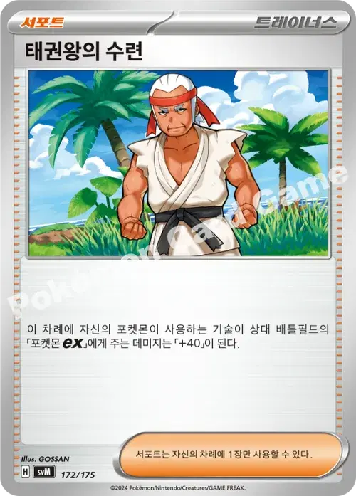 태권왕의 수련