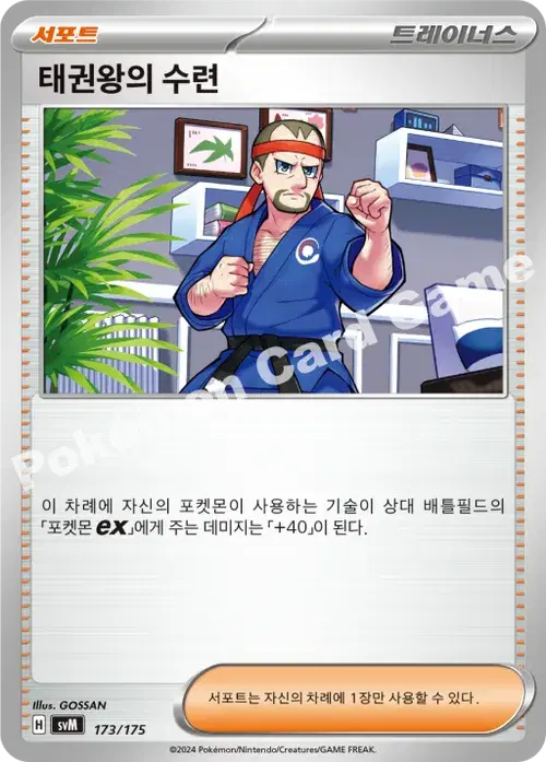 태권왕의 수련