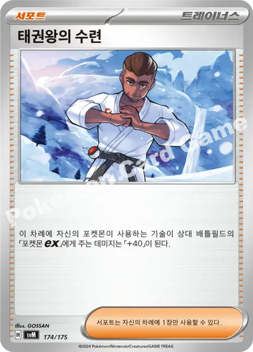 태권왕의 수련