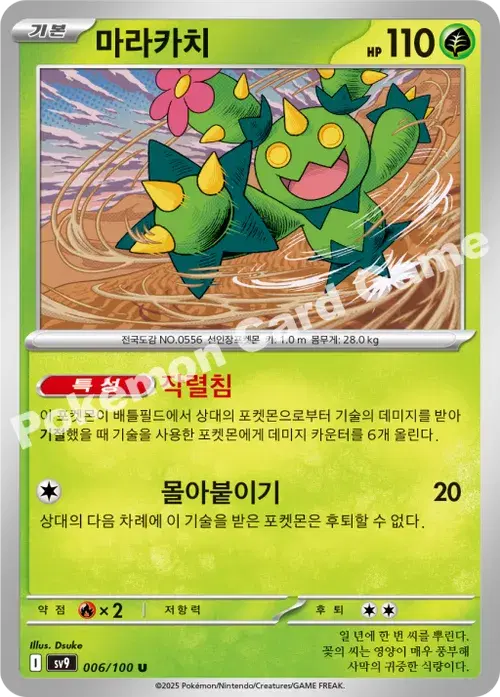 마라카치