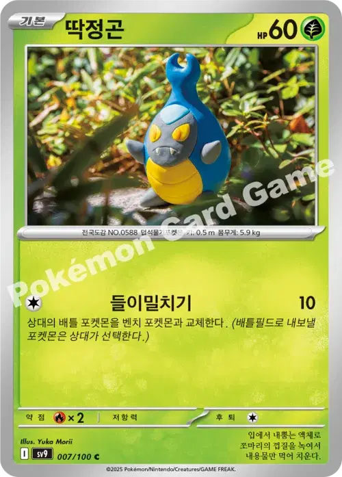 딱정곤