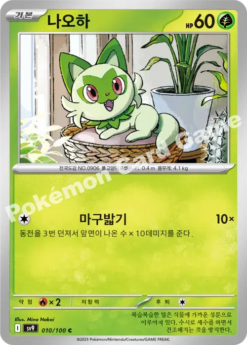 나오하