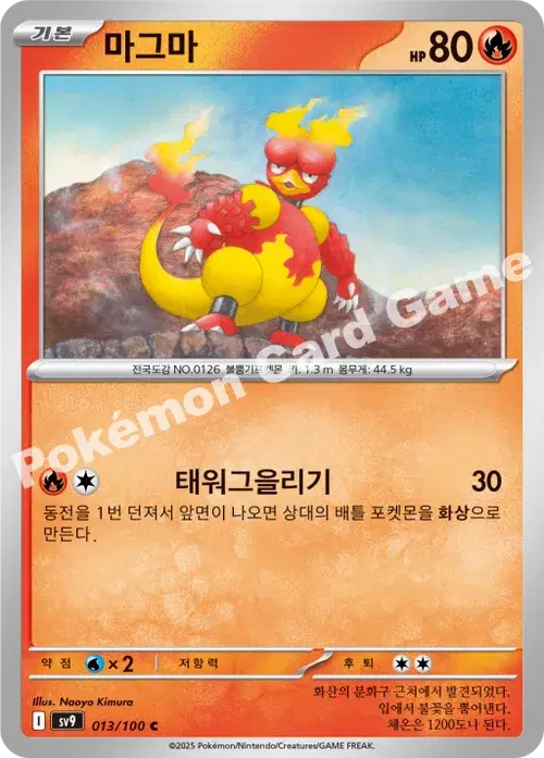 마그마