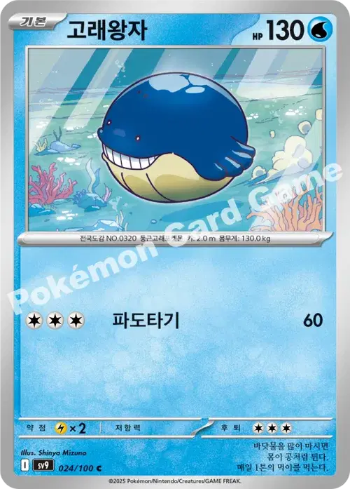 고래왕자