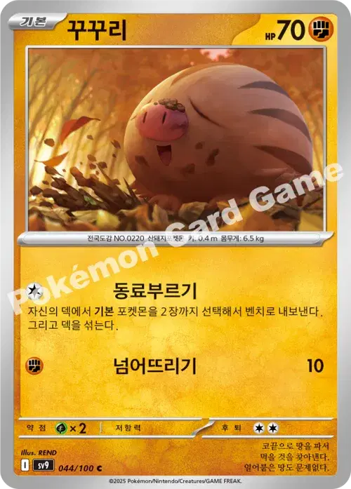 꾸꾸리