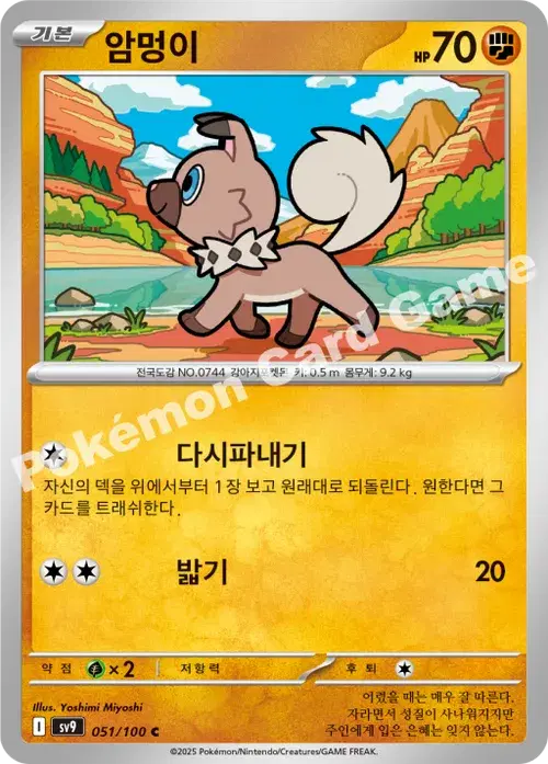 암멍이