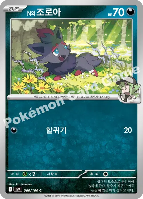 N의 조로아