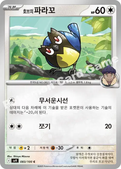 호브의 파라꼬