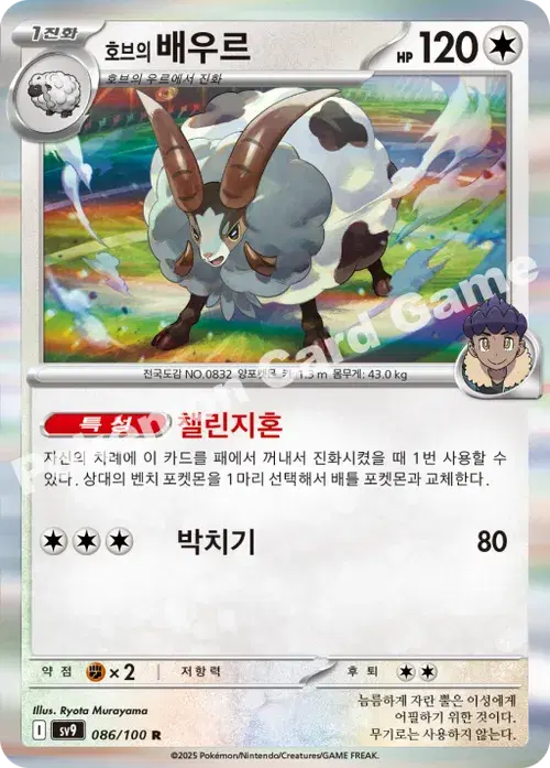 호브의 배우르