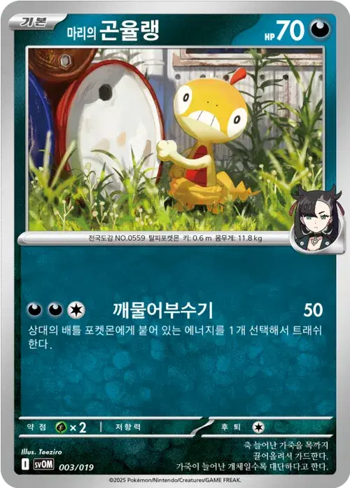 마리의 곤율랭