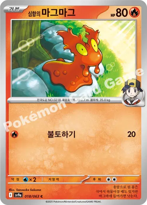 심향의 마그마그