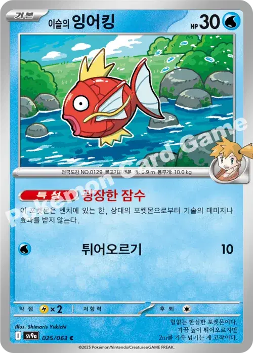이슬의 잉어킹