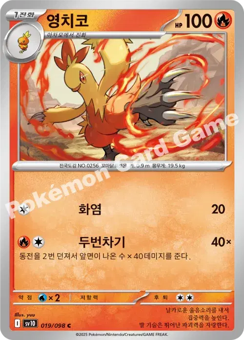 영치코
