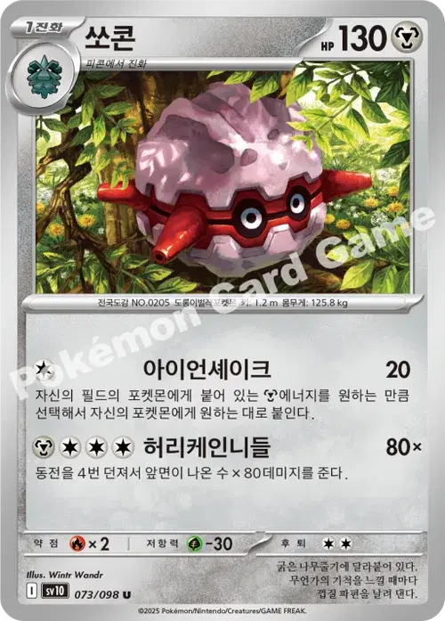 쏘콘