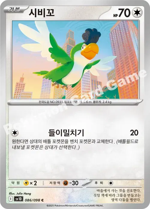 시비꼬