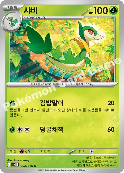 샤비
