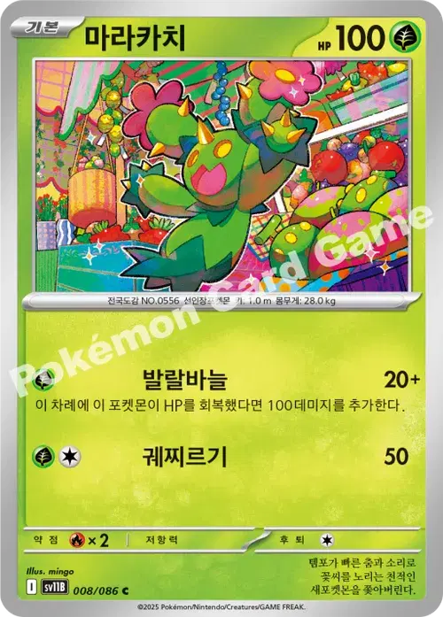 마라카치