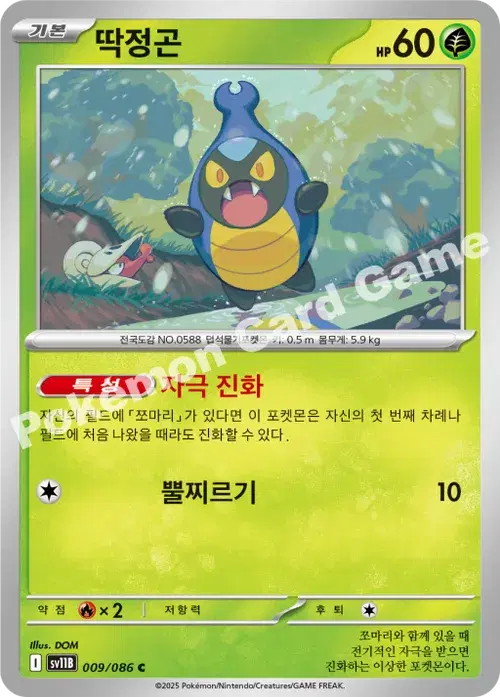 딱정곤