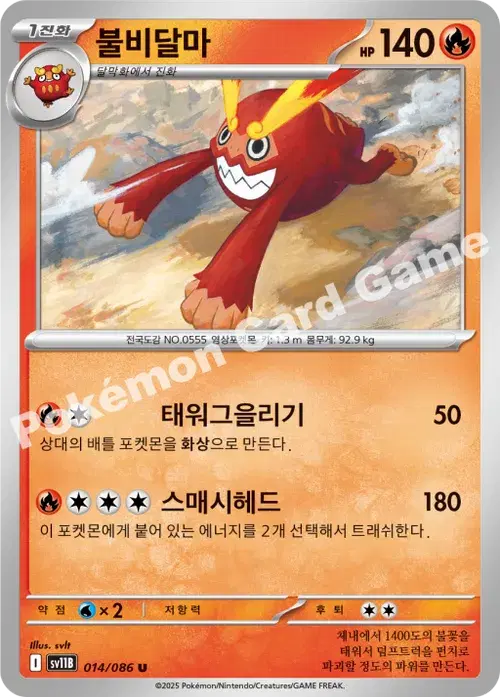 불비달마