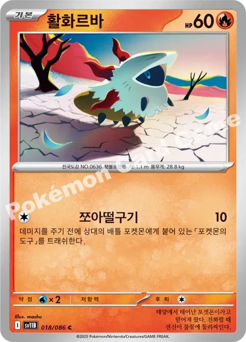 활화르바