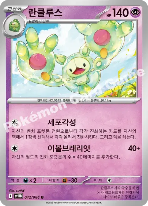 란쿨루스