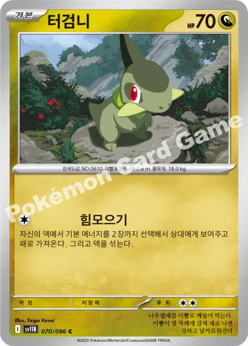터검니