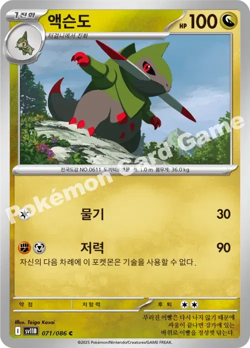 액슨도