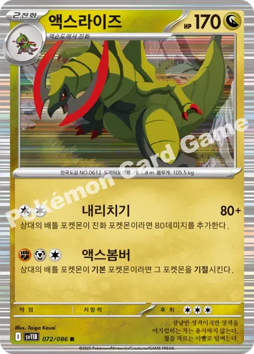 액스라이즈