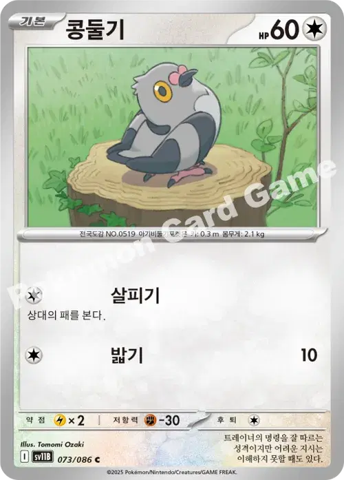 콩둘기