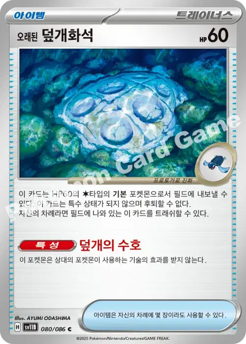 오래된 덮개화석
