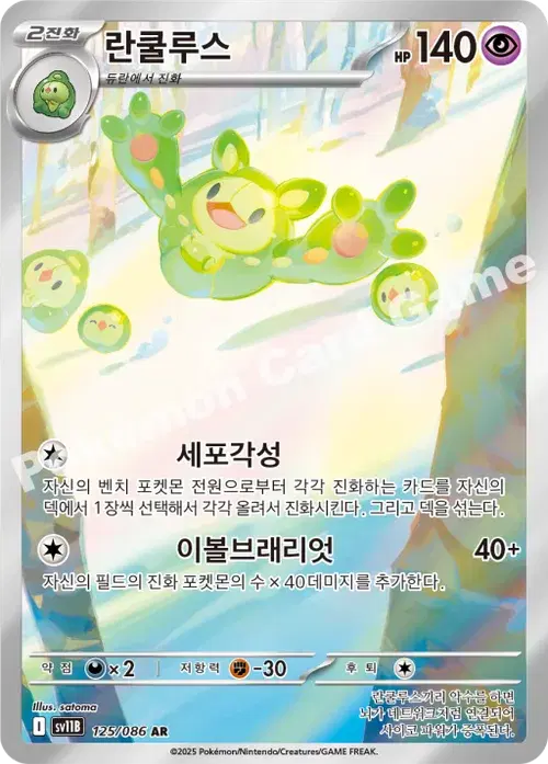 란쿨루스